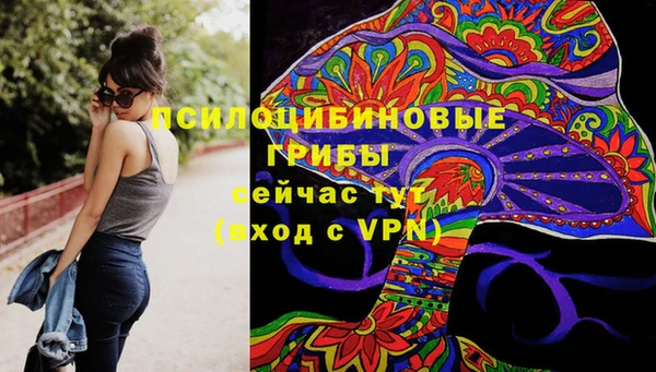 шишки Абдулино