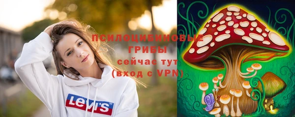 спиды Пересвет